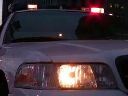 Police Car Lights Flashing at Night. Stock Footage