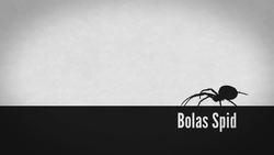 Orchid Mantis: Looks That Kill Instructional Video