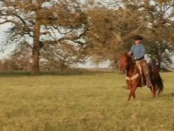 Caucasian Cowboy Rides Brown Horse on Texas Ranch Stock Footage