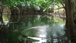 Pod falls into water Stock Footage