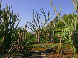 Botanical Gardens Stock Footage