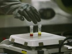  MS Hands of technician testing vials in laboratory (Research and development of solar energy conversion materials) / Ann Arbor, Michigan, United States    Stock Footage