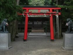 MS Entrance of  temple / Kouya, Wakayama, Japan Stock Footage