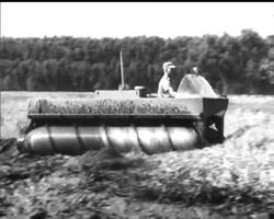 ""SCREWY"" - BUT IT MAKES SENSE News Clip