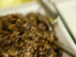 MS PAN R/F Foods condiment pre preparation / Sao Paulo, Brazil Stock Footage