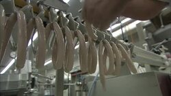 An assembly line worker trims sausage links in a sausage making facility. Stock Footage