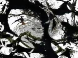 NATURE BACKGROUND : close-up, vortex (LOOP) Stock Footage