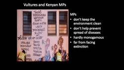 Munir Virani: Why I love vultures Instructional Video