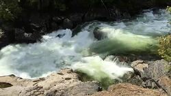 Flowing Rapids Stock Footage