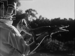 Beaches of Nice and Monte Carlo. France, 1955 Stock Footage