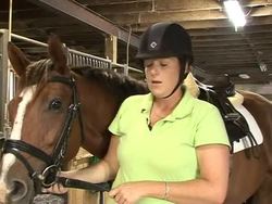VOICED: Race horses saved from the slaughterhouse News Clip