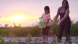 Watering the Plants at Sunset Stock Footage