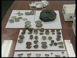 Police seizes rare shark teeth fossils, which were ready to be smuggled out News Clip