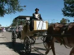Medium Shot Pan Right - Horse and carriage take passengers down busy street / New Orleans Louisiana Stock Footage