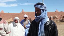 Guelmim hosts huge camel market Instructional Video