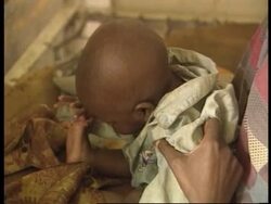 Congo/Zaire - Repatriation of refugees News Clip