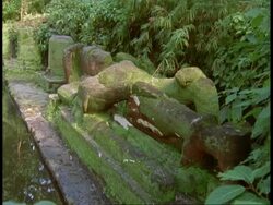 MS Hindu statue in jungle, Bandhavgarh National Park, India Stock Footage