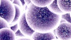 Rising Bacteria With Fur Stock Footage