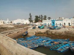 MS Shot of seagulls flying over near shore and boats tied to dock / casablanca, centro, morocco Stock Footage