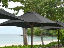 HD Umbrella beach Stock Footage