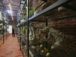 Opening Of The New Serpentine Sackler Gallery Designed By Zaha Hadid Stock Footage