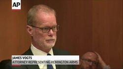 Court Hears Lawsuit in Sandy Hook Shooting News Clip