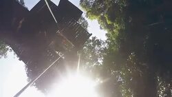 Zip line Adventure Stock Footage