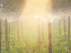 Sprinkler (Super Slow Motion) Stock Footage