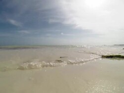 Wave on the beach Stock Footage