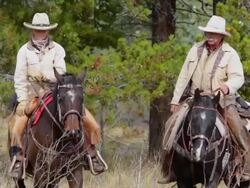Cowboy and  Cowgirl riding on horseback Stock Footage