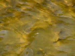 water with reflection Stock Footage