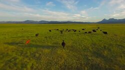 Aerial Montana Countryside Stock Footage