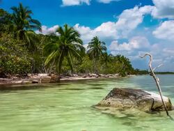 Playa Larga, Bay of Pigs, Matanzas, Cuba Stock Footage