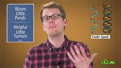 A New Mathematical Model of the Origin of Life Instructional Video