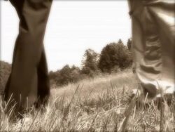 Newlyweds Stock Footage