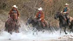SLO MO DS Three ranchers riding galloping horses across river Stock Footage