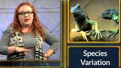 INVASIVE SPECIES Instructional Video