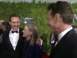 INTERVIEW - Bryan Cranston at 2015 Tony Awards - Arrivals Stock Footage