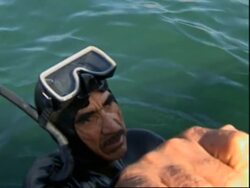 Paper made from seaweed recycled from local beaches News Clip