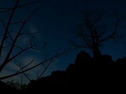 T/L, WS, day to night sunset to moonrise and night sky landscape with baobab trees / Kimberley Region, Australia Stock Footage