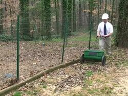 Treating for Fleas & Ticks Stock Footage