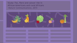 TED-ED: How the food you eat affects your gut - Shilpa Ravella Instructional Video