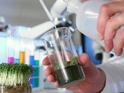 Bio Lab Experiment Stock Footage