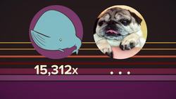 Which Life Form REALLY Dominates Earth? Instructional Video