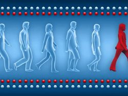 (Loop) Businesswoman  Leader Stock Footage