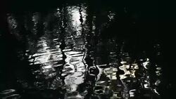 reflection in water Stock Footage