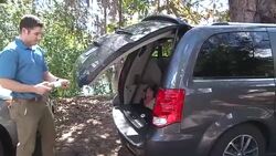 CLEAN : Miami releases bacteria infected mosquitos to help prevent Zika News Clip