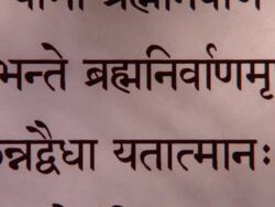 CU PAN Bhagavad Gita in Sanskrit Chapter 6 / New York City, New York, USA  Stock Footage