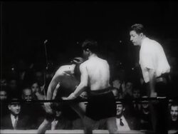 THE AMERICAN SCENE News Clip