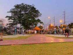 People exercise timelapse Stock Footage